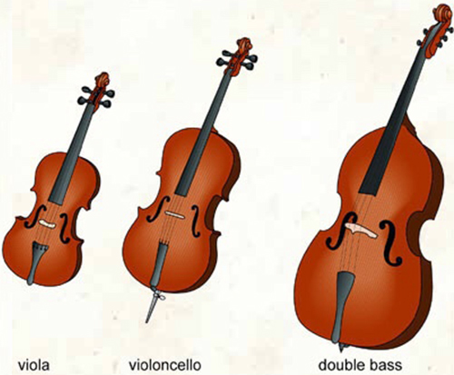 violin family instruments-blog-image